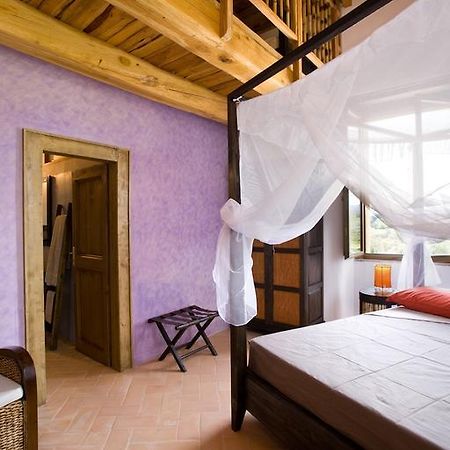 Bed and Breakfast L' Eliantemo San Sabino Camera foto